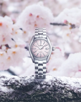 Silver watch on a snowy surface with cherry blossoms in the background