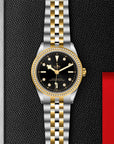 Tudor Black Bay 31/36/39/41 S&G 39mm Steel Case - M79673-0005 - Skeie's Jewelers