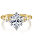 Gold and silver ring with a large central diamond and smaller diamonds on a white background