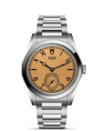 Silver Tudor watch with a brown face on a white background