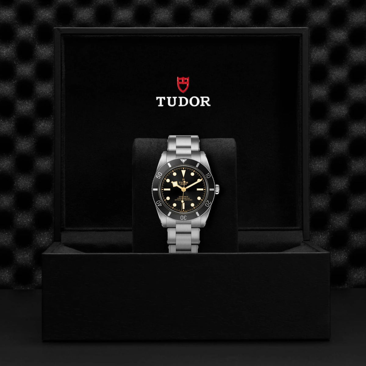TUDOR Black Bay 54 37mm Black Dial - M79000N-0001 In Box - Skeie's Jewelers