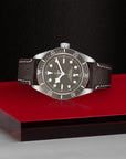 TUDOR Black Bay 58 925 39mm Taupe Dial - M79010SG-0001 On Display - Skeie's Jewelers