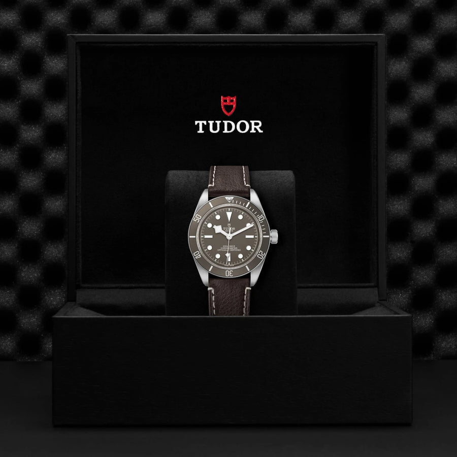TUDOR Black Bay 58 925 39mm Taupe Dial - M79010SG-0001 In Box - Skeie's Jewelers
