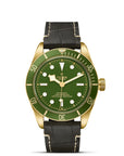 TUDOR Black Bay 58 18K 39mm Green Dial - M79018V-0001 Closed Bracelet - Skeie's Jewelers