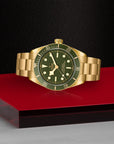 TUDOR Black Bay 58 18K 39mm Green Dial - M79018V-0006 On Display - Skeie's Jewelers