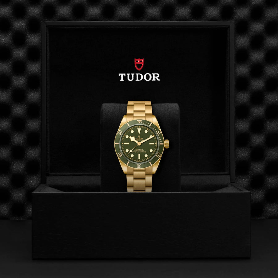 TUDOR Black Bay 58 18K 39mm Green Dial - M79018V-0006 In Box - Skeie's Jewelers