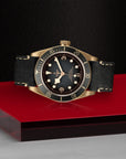 TUDOR Black Bay Bronze 43mm Slate Gray Dial - M79250BA-0001 On Display - Skeie's Jewelers