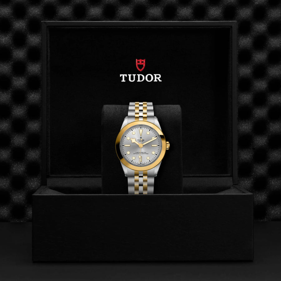 TUDOR Black Bay One S&G 39mm Silver Dial - M79663-0002 In Box - Skeie's Jewelers