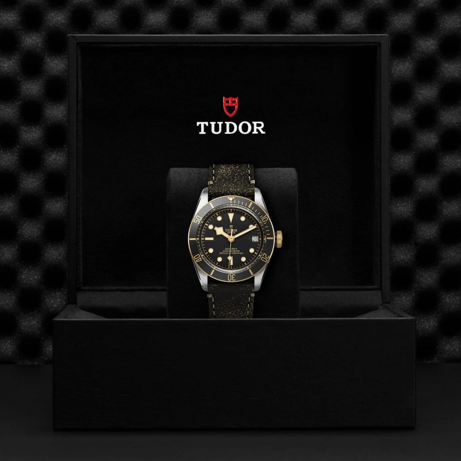 TUDOR Black Bay S&G 41mm Black Dial - M79733N-0007 In Box - Skeie's Jewelers