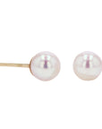 Pearl Stud Earrings in 14k Gold - Skeie's Jewelers