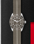 Tudor Black Bay Fifty-Eight 925 39mm Silver - Skeie's Jewelers