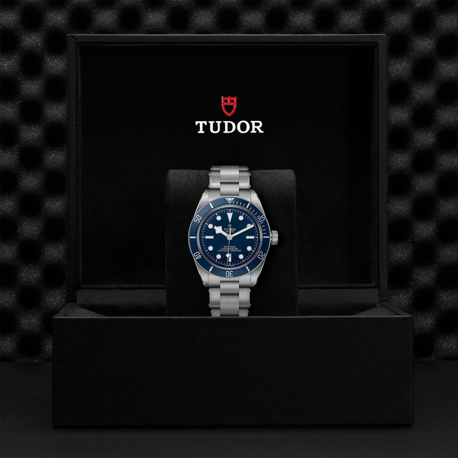 TUDOR 39mm Black Bay 58 Blue Dial on Stainless Steel - M79030B