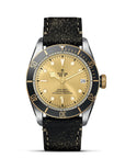 Tudor Black Bay S&G 41mm Steel And Gold - Skeie's Jewelers