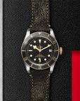 Tudor Black Bay S&G Leather Strap Watch - M79733N-0007 3