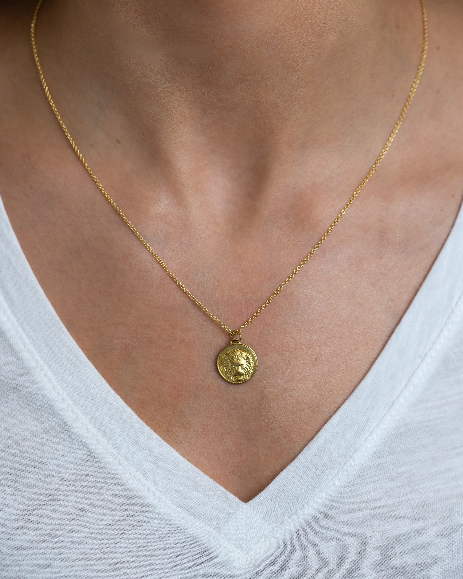 The Lion & The Mouse Small Aesop Medallion - Skeie's Jewelers