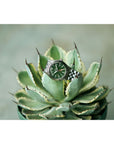 Green wristwatch on a succulent plant with a blurred background