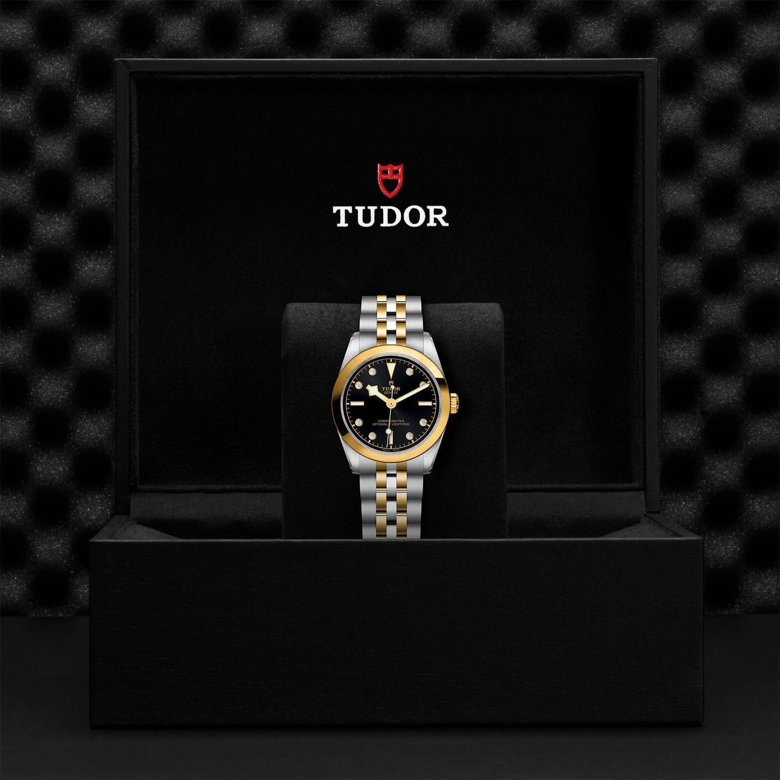 Tudor Black Bay 31/36/39/41 S&G 31mm Steel Case - M79603-0006 - Skeie's Jewelers