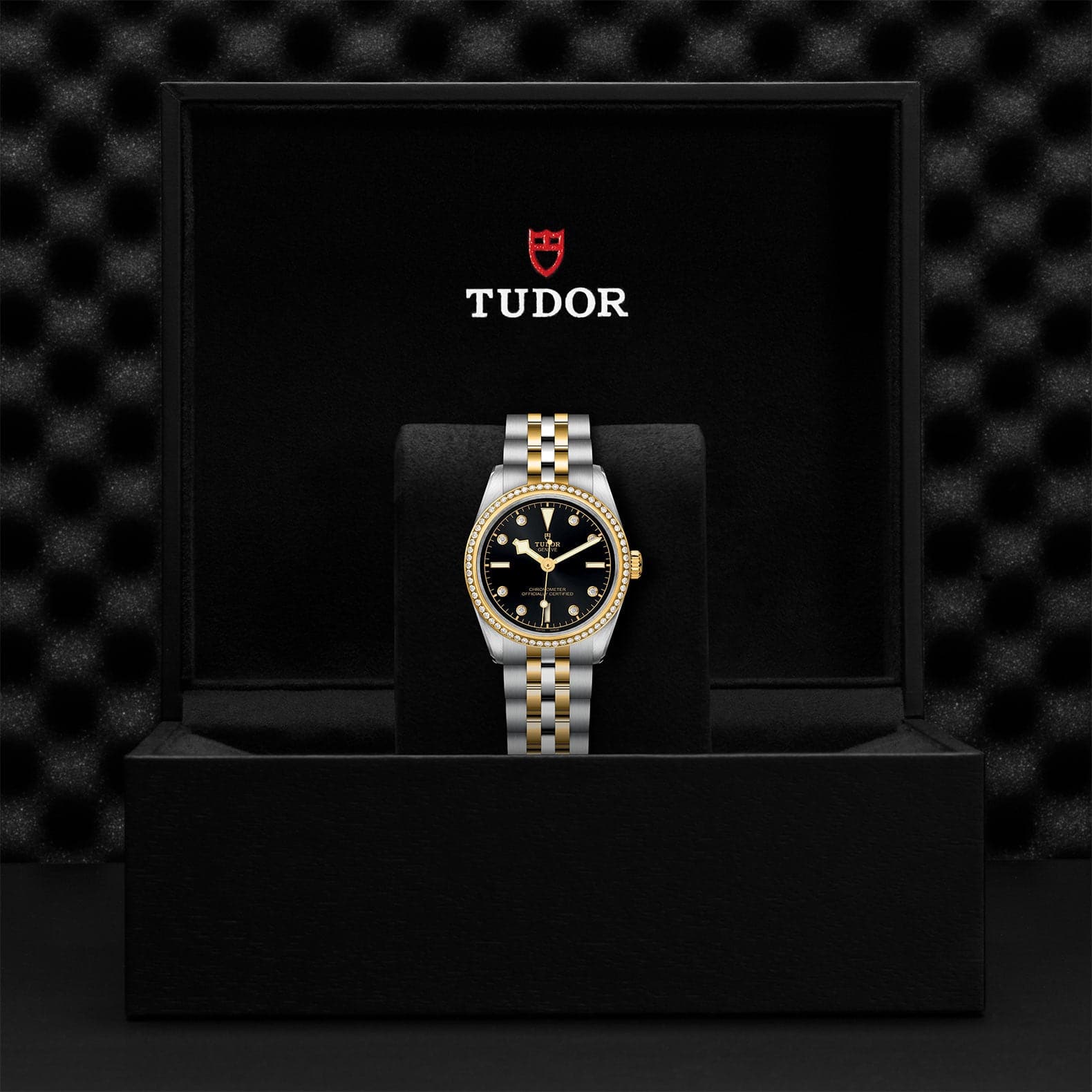 Tudor Black Bay 31/36/39/41 S&G 31mm Steel Case - M79613-0005 - Skeie's Jewelers