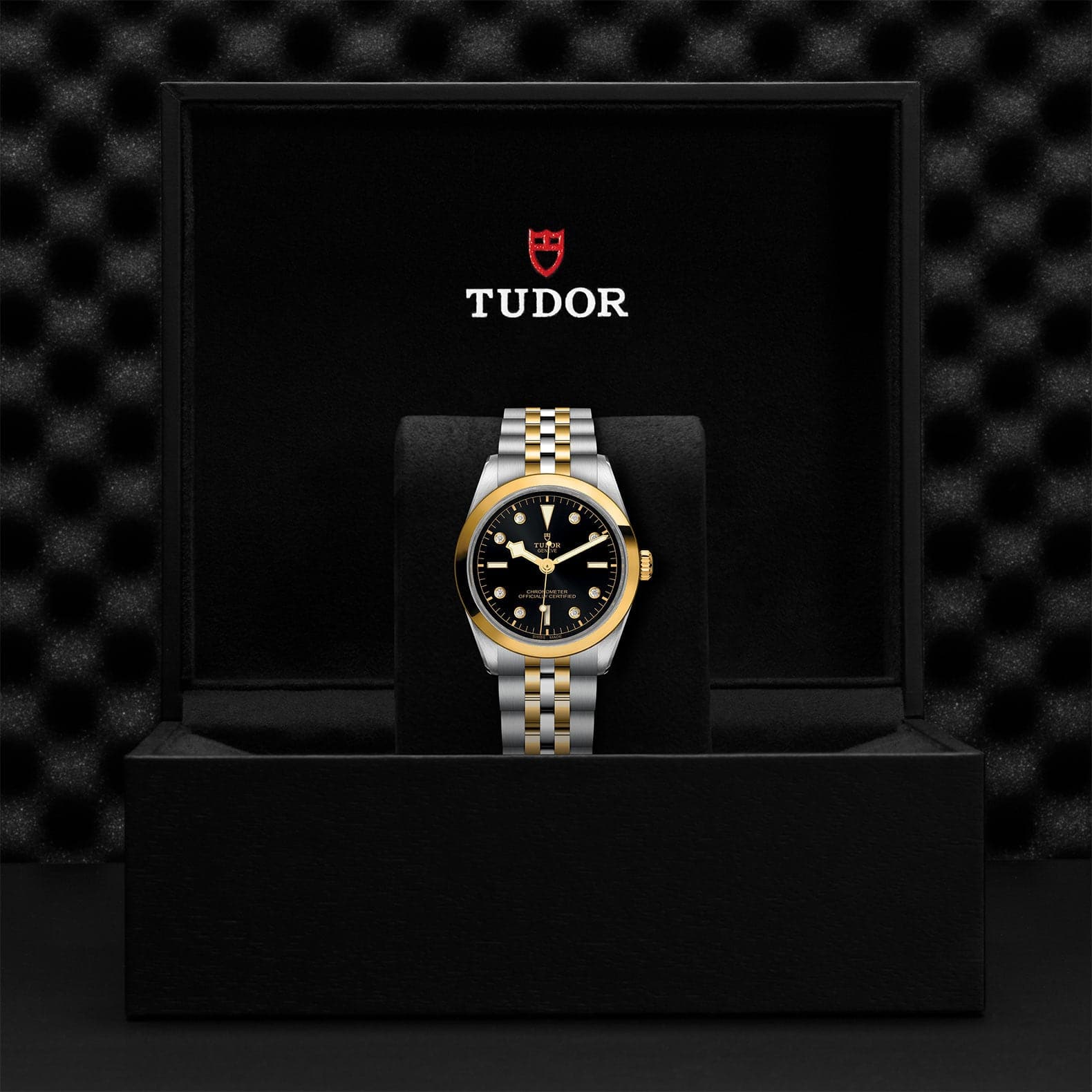 Tudor Black Bay 31/36/39/41 S&G 36mm Steel Case - M79643-0006 - Skeie's Jewelers