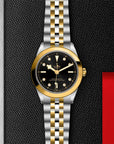 Tudor Black Bay 31/36/39/41 S&G 39mm Steel Case - M79663-0006 - Skeie's Jewelers