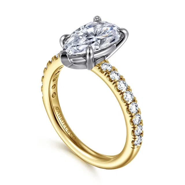 Gold and silver ring with a large diamond and smaller diamonds on the band against a white background
