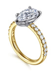 Gold and silver ring with a large diamond and smaller diamonds on the band against a white background