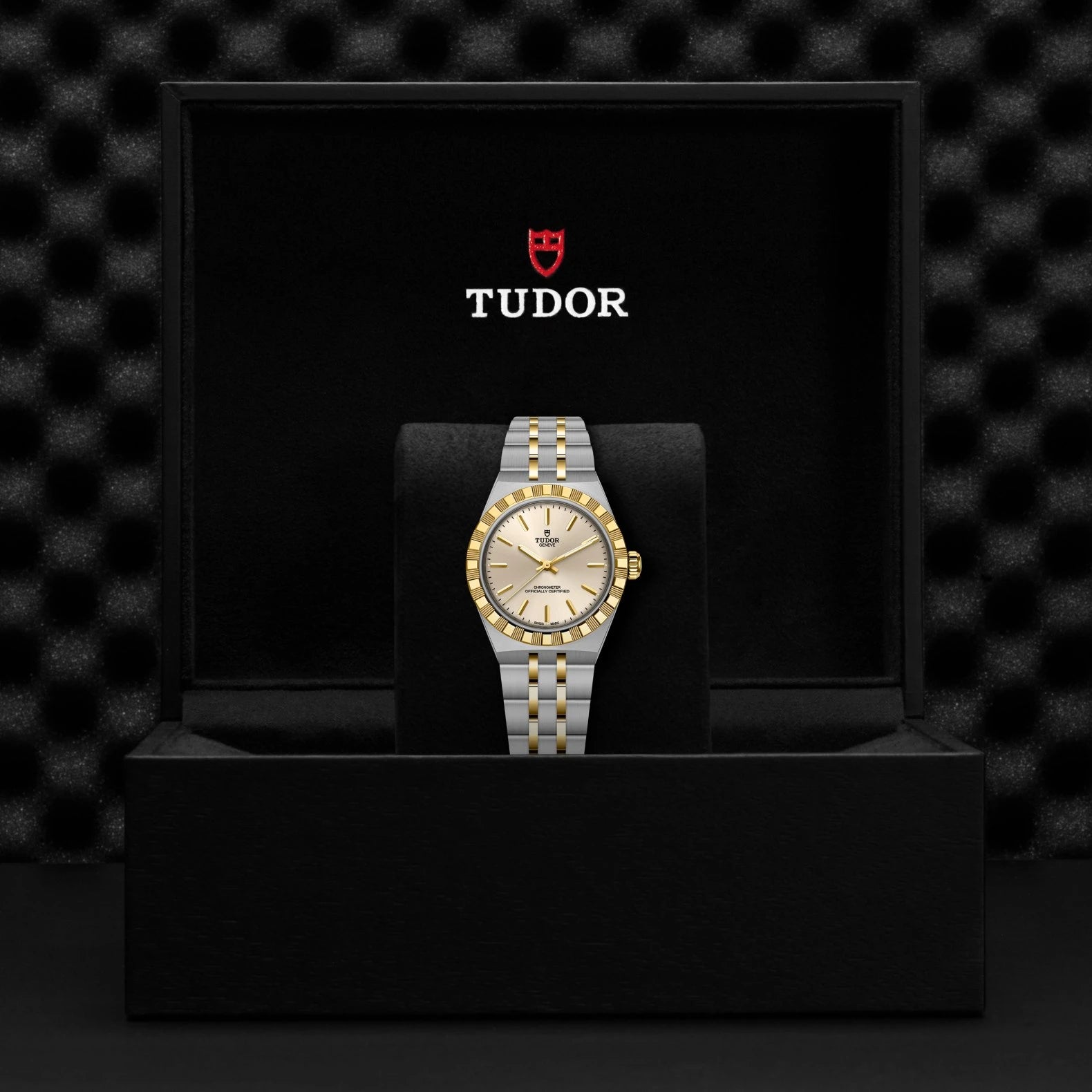 Tudor watch in a black display case with a dark textured background