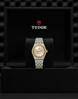 Tudor watch in a black display case with a dark textured background