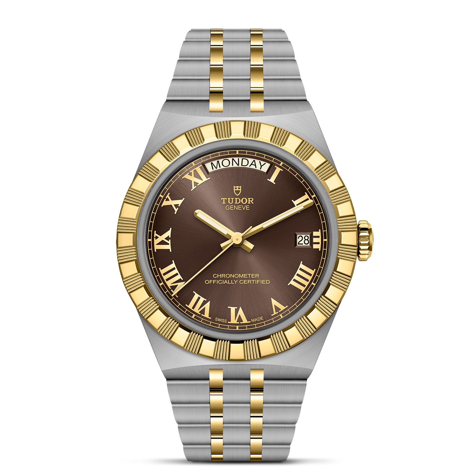 Tudor watch with brown dial and gold accents on a white background