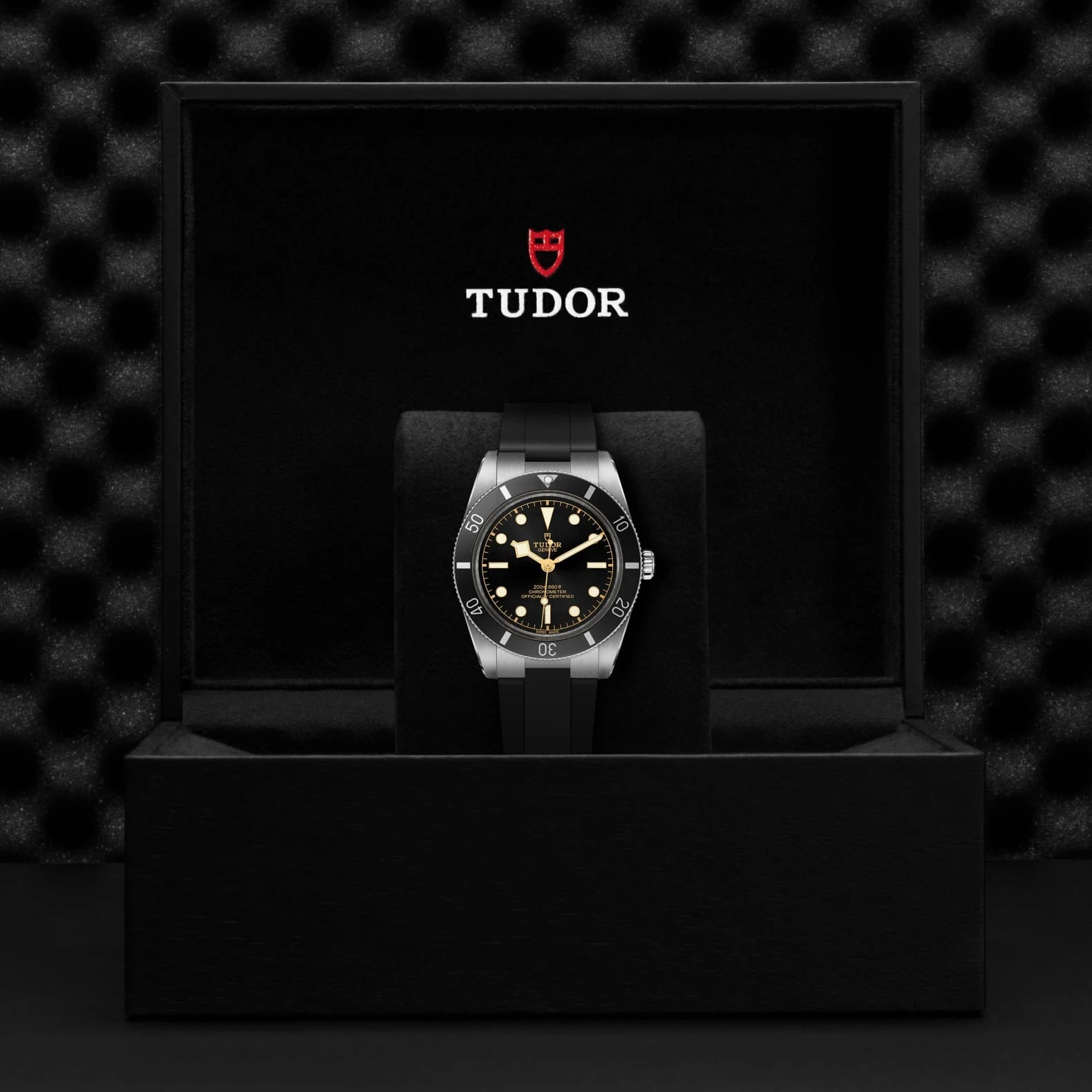 TUDOR Black Bay 54 37mm Black Dial - M79000N-0002 In Box - Skeie's Jewelers