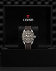TUDOR Black Bay 58 925 39mm Taupe Dial - M79010SG-0001 In Box - Skeie's Jewelers