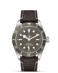 TUDOR Black Bay 58 925 39mm Taupe Dial - M79010SG-0001 Closed Bracelet - Skeie's Jewelers