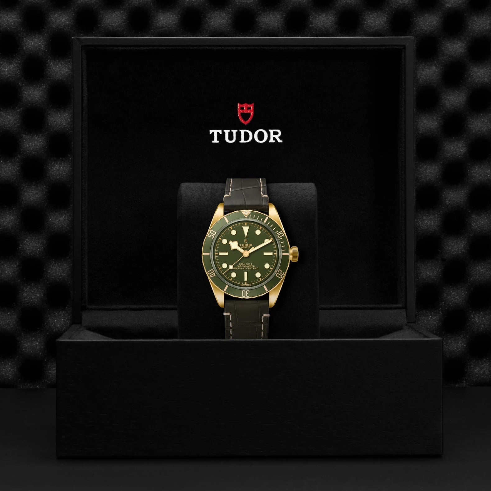 TUDOR Black Bay 58 18K 39mm Green Dial - M79018V-0001 In Box - Skeie's Jewelers