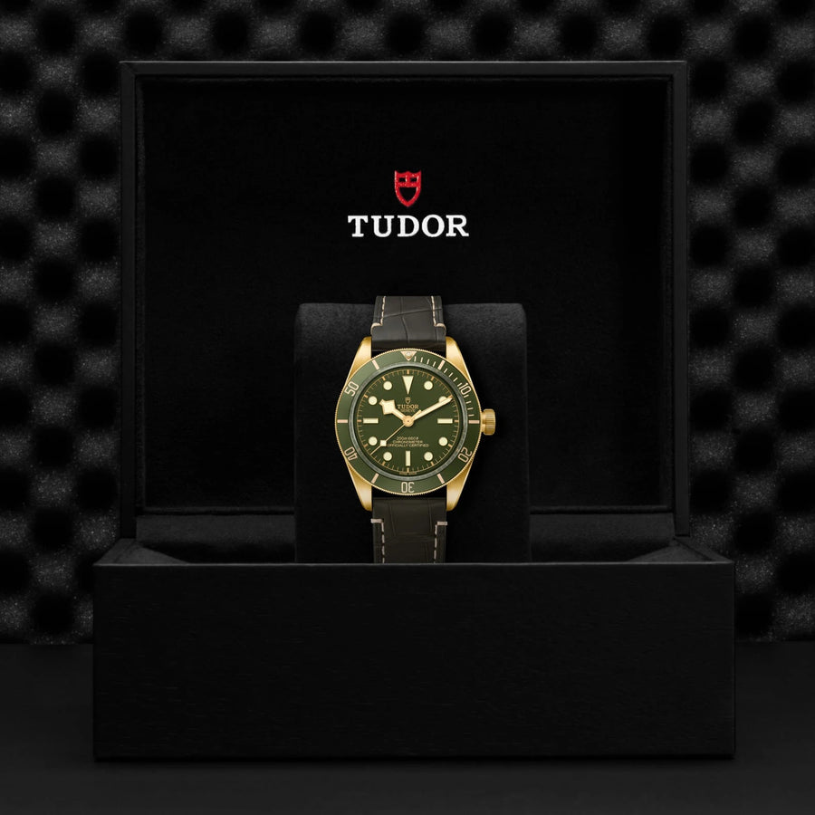 TUDOR Black Bay 58 18K 39mm Green Dial - M79018V-0001 In Box - Skeie's Jewelers