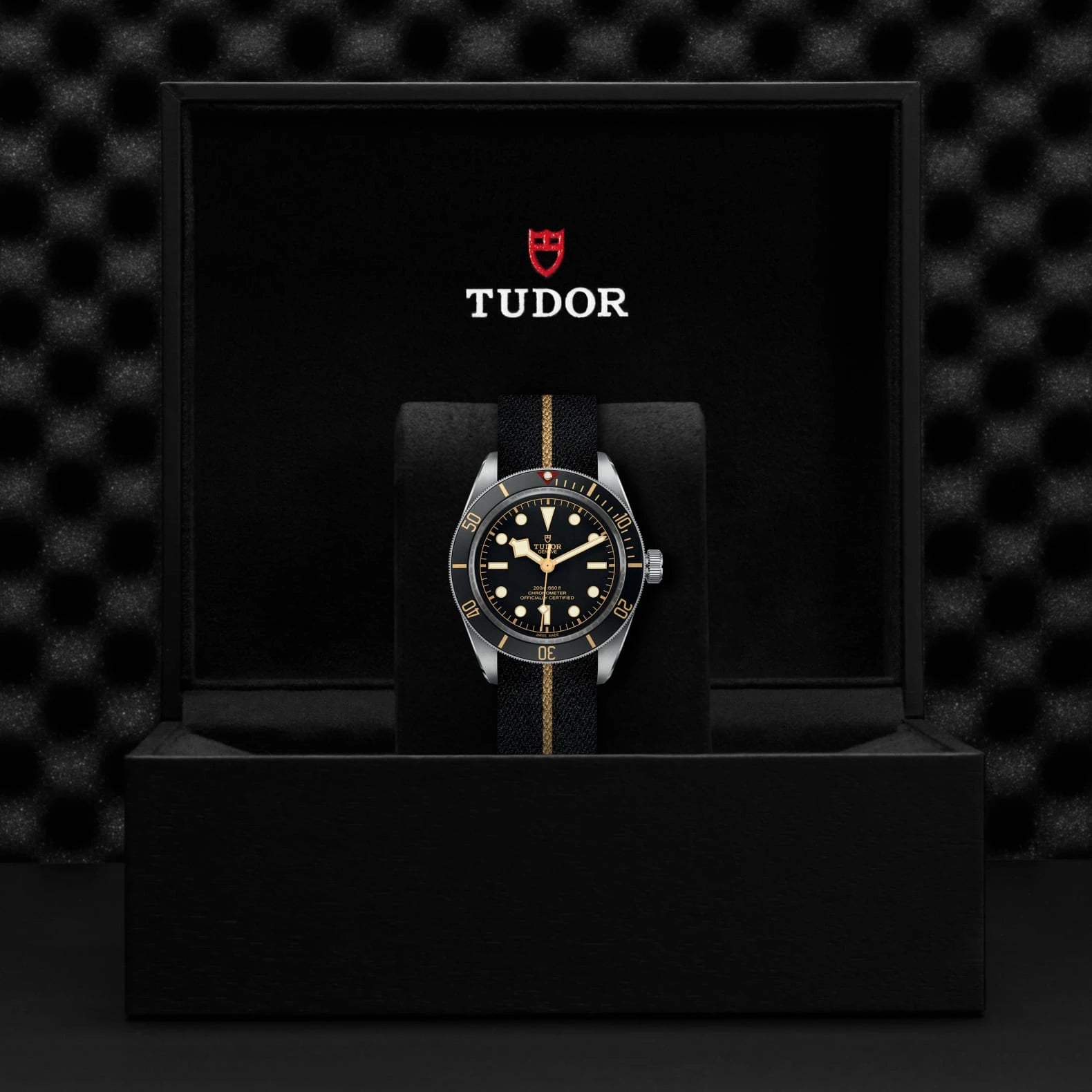TUDOR Black Bay 58 39mm Black Dial - M79030N-0003 In Box - Skeie's Jewelers