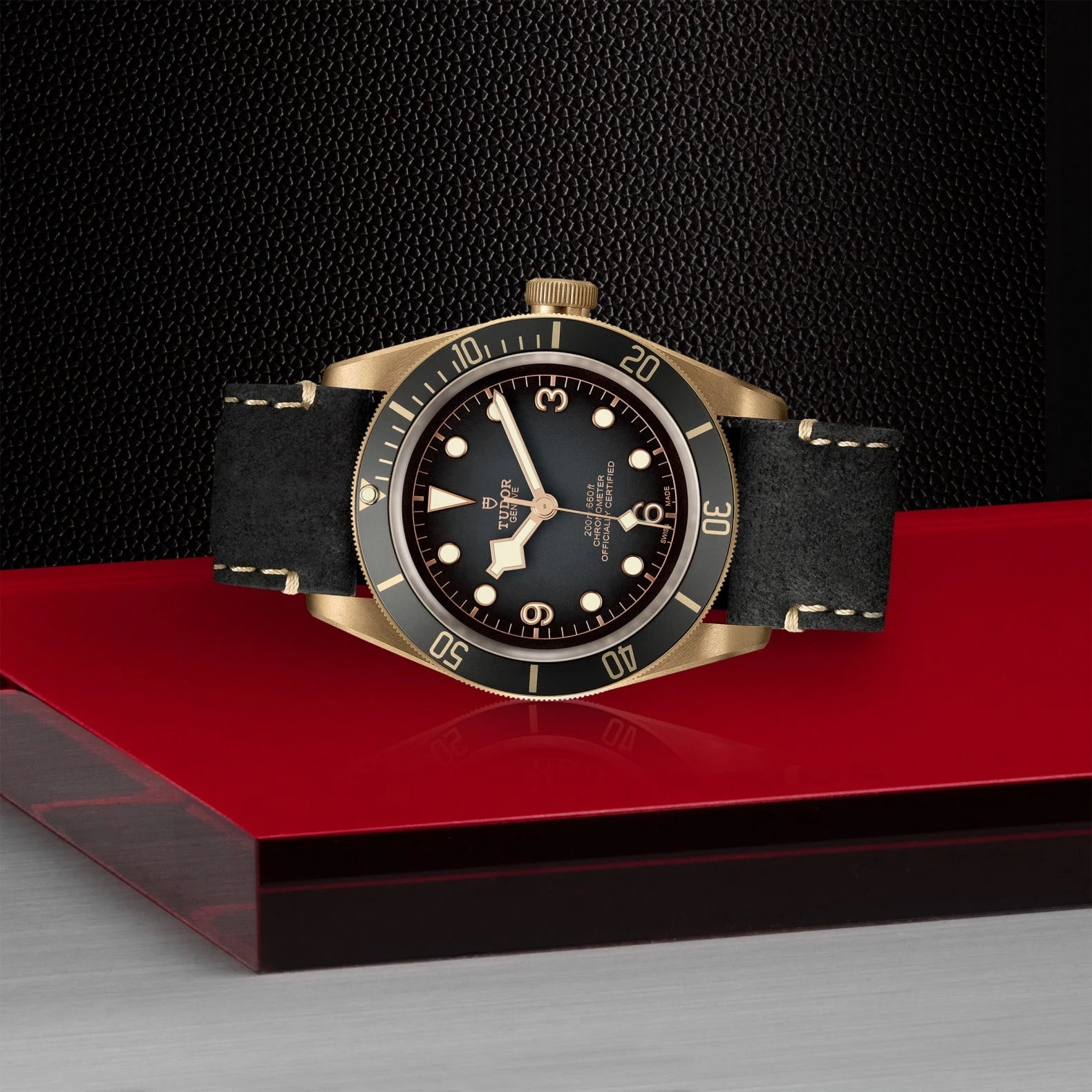 TUDOR Black Bay Bronze 43mm Slate Gray Dial - M79250BA-0001 On Display - Skeie's Jewelers