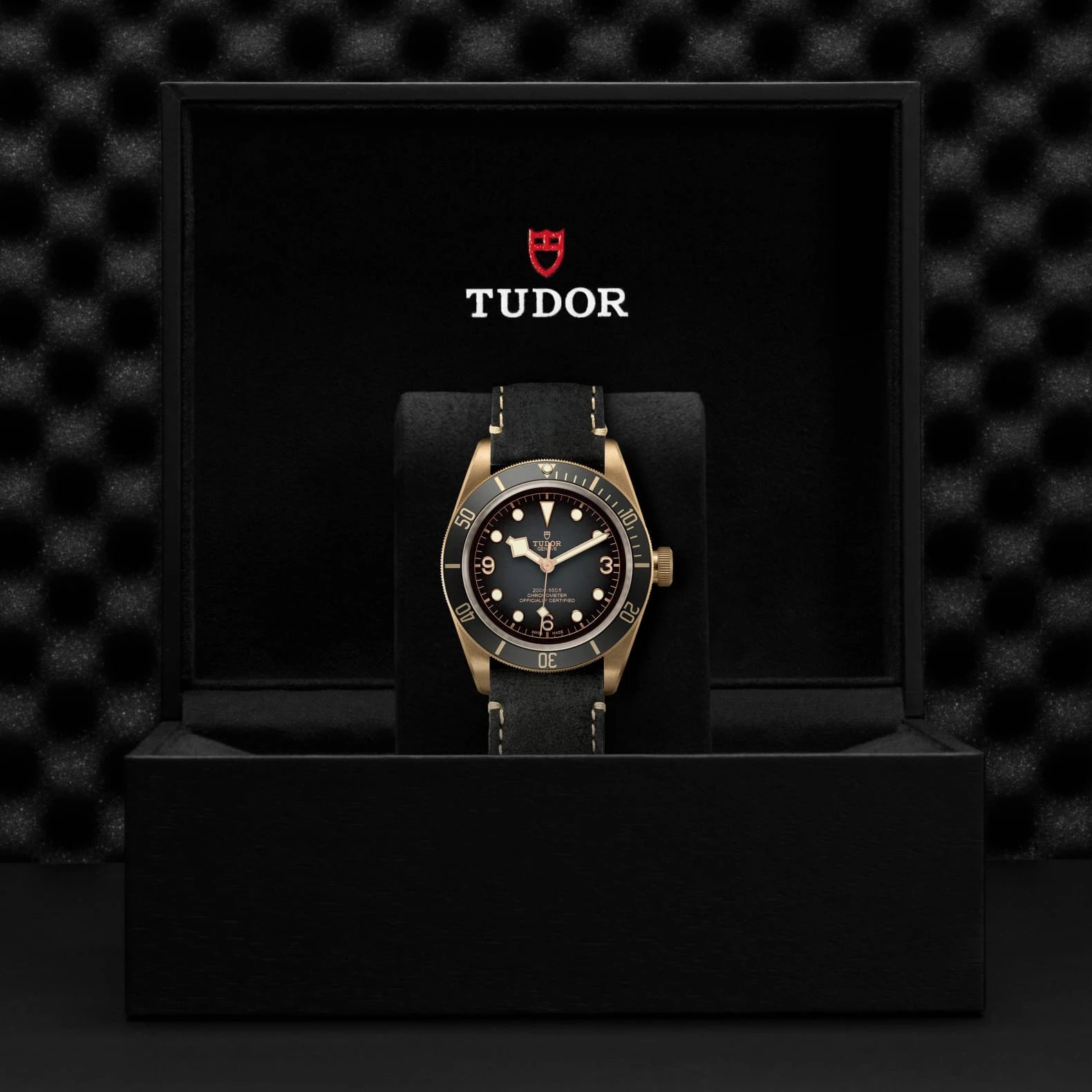 TUDOR Black Bay Bronze 43mm Slate Gray Dial - M79250BA-0001 In Box - Skeie's Jewelers