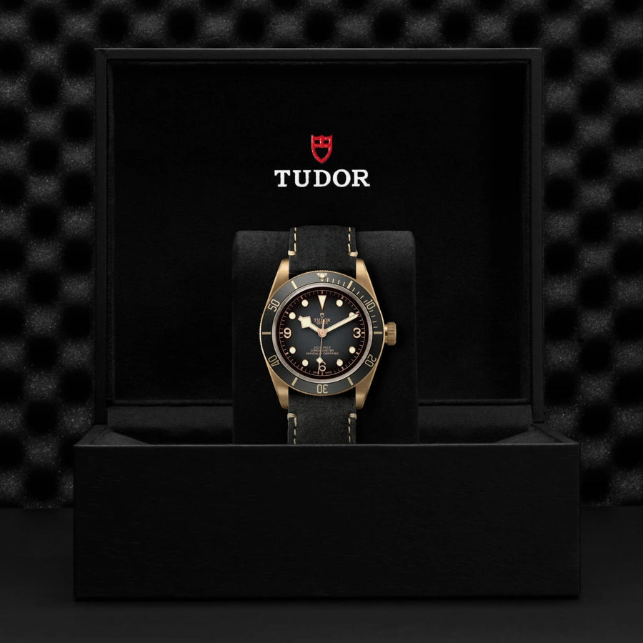 TUDOR Black Bay Bronze 43mm Slate Gray Dial - M79250BA-0001 In Box - Skeie's Jewelers