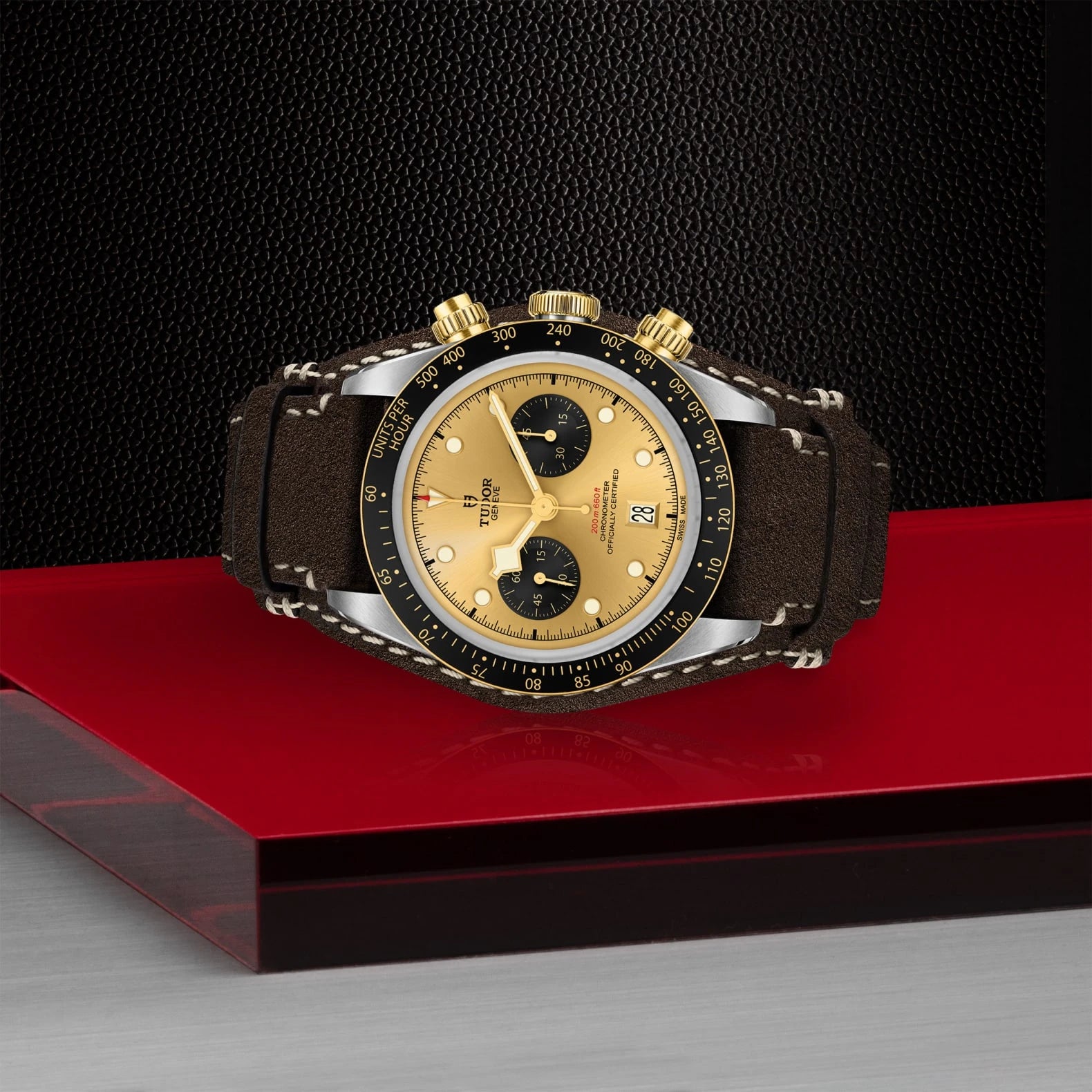 TUDOR Black Bay Chrono S&amp;G 41mm Champagne Dial - M79363N-0008 On Display - Skeie's Jewelers