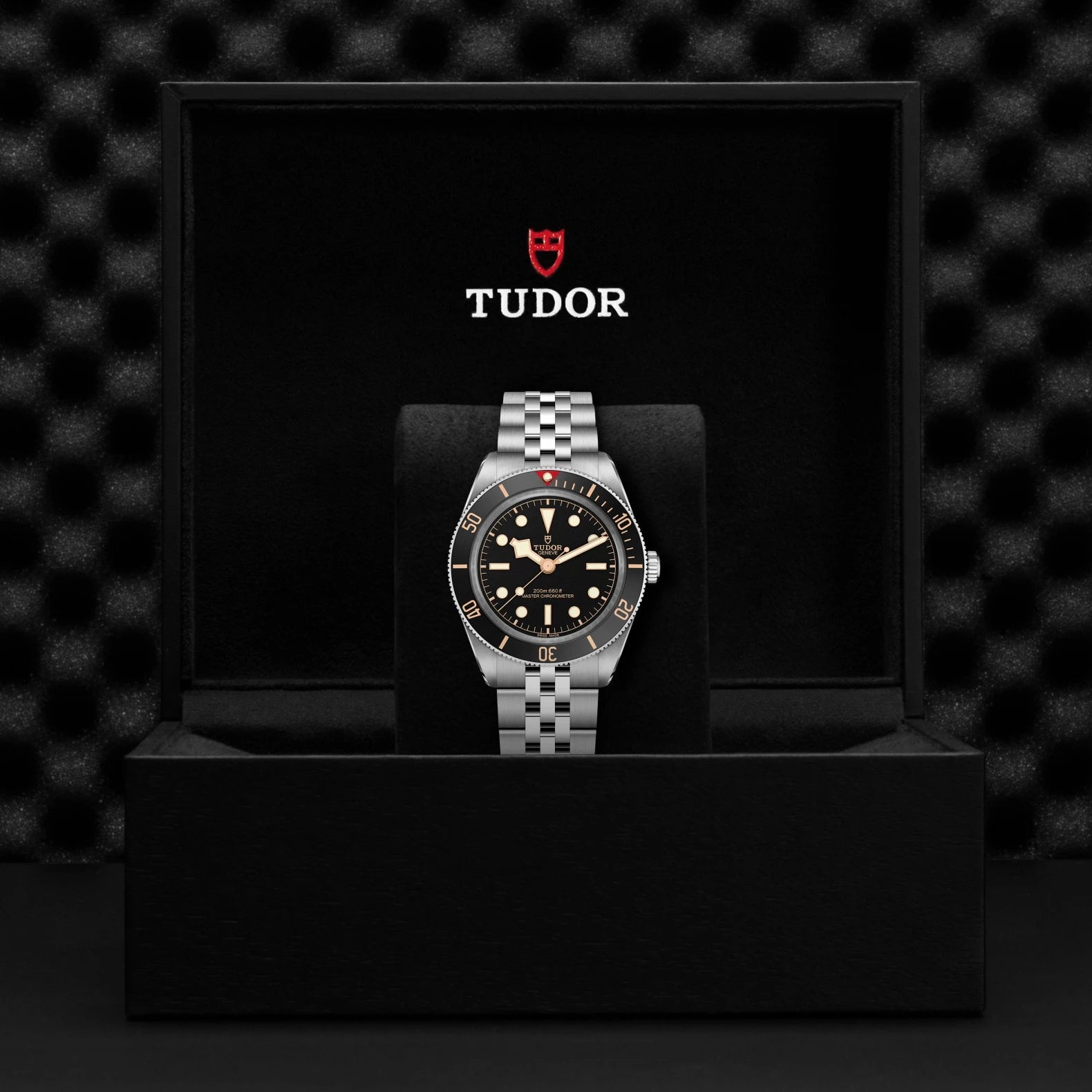 Tudor watch in a black display case with a checkered pattern background