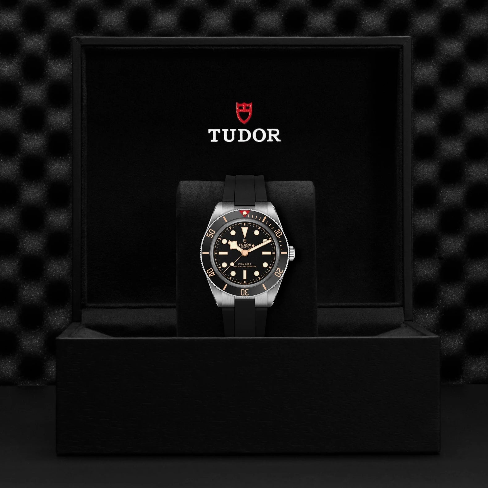 Tudor watch in a black display case with a dark textured background