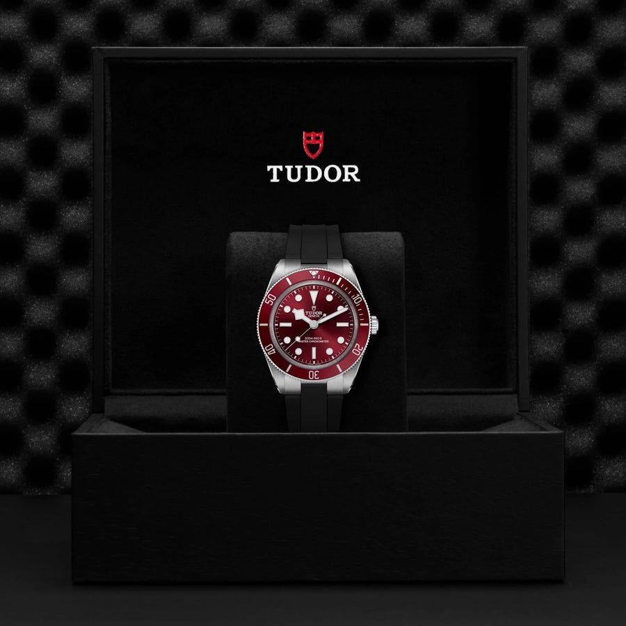 TUDOR Black Bay 58 39mm Burgundy Dial - M7939A1A0RU-0003 In Box - Skeie's Jewelers