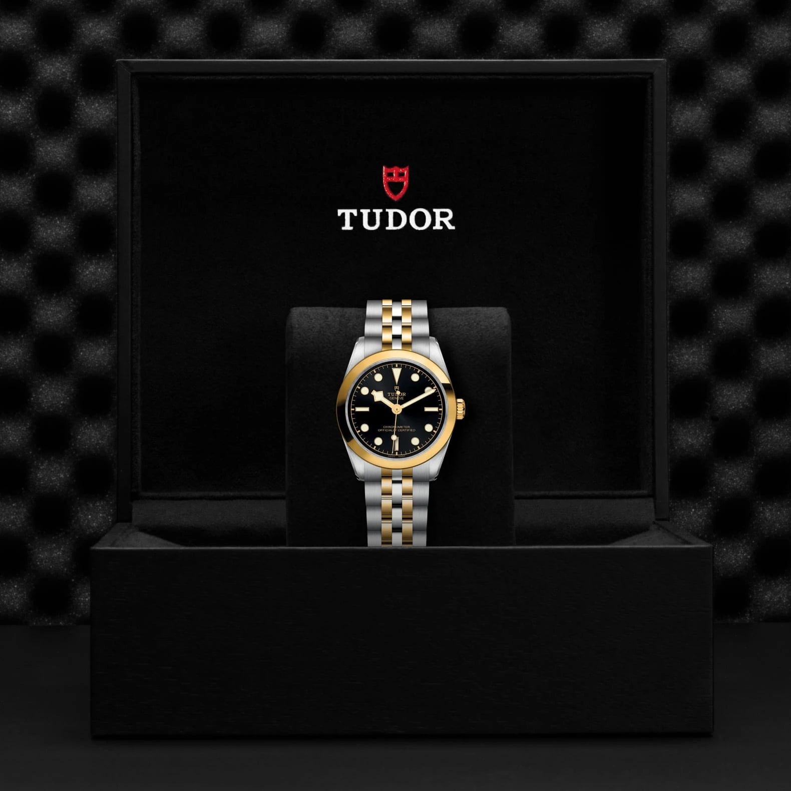 TUDOR Black Bay One S&amp;G 31mm Black Dial - M79603-0001 In Box - Skeie's Jewelers