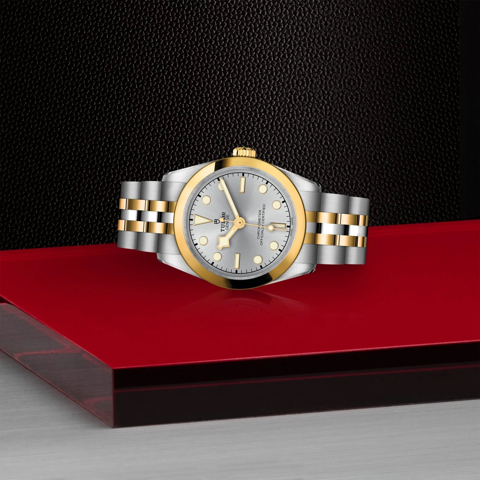 TUDOR Black Bay One S&G 31mm Silver Dial - M79603-0002 On Display - Skeie's Jewelers