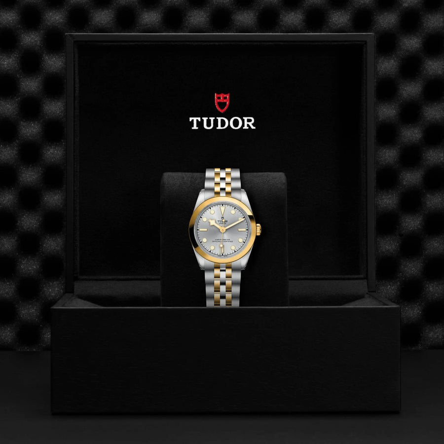 TUDOR Black Bay One S&G 31mm Silver Dial - M79603-0002 In Box - Skeie's Jewelers