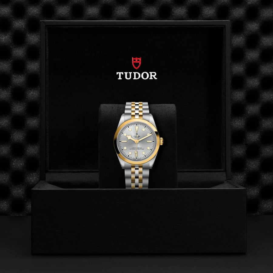 TUDOR Black Bay One S&G 36mm Silver Dial - M79643-0002 In Box - Skeie's Jewelers