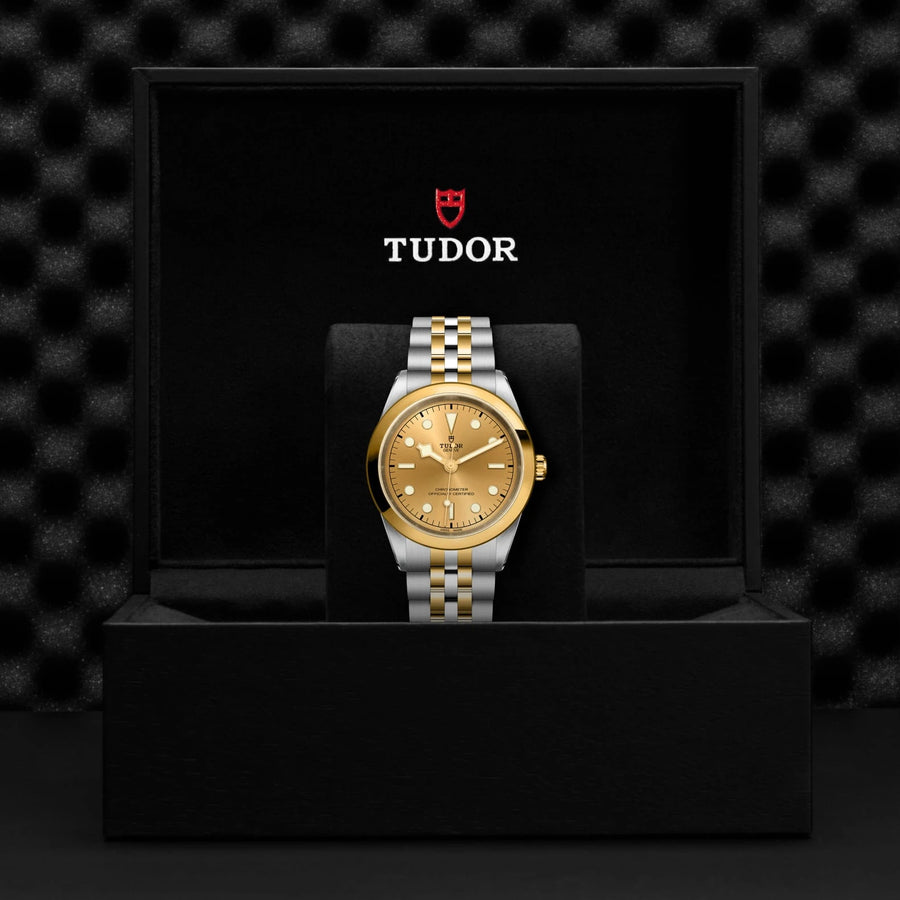 TUDOR Black Bay One S&G 41mm Champagne Dial - M79683-0005 In Box - Skeie's Jewelers