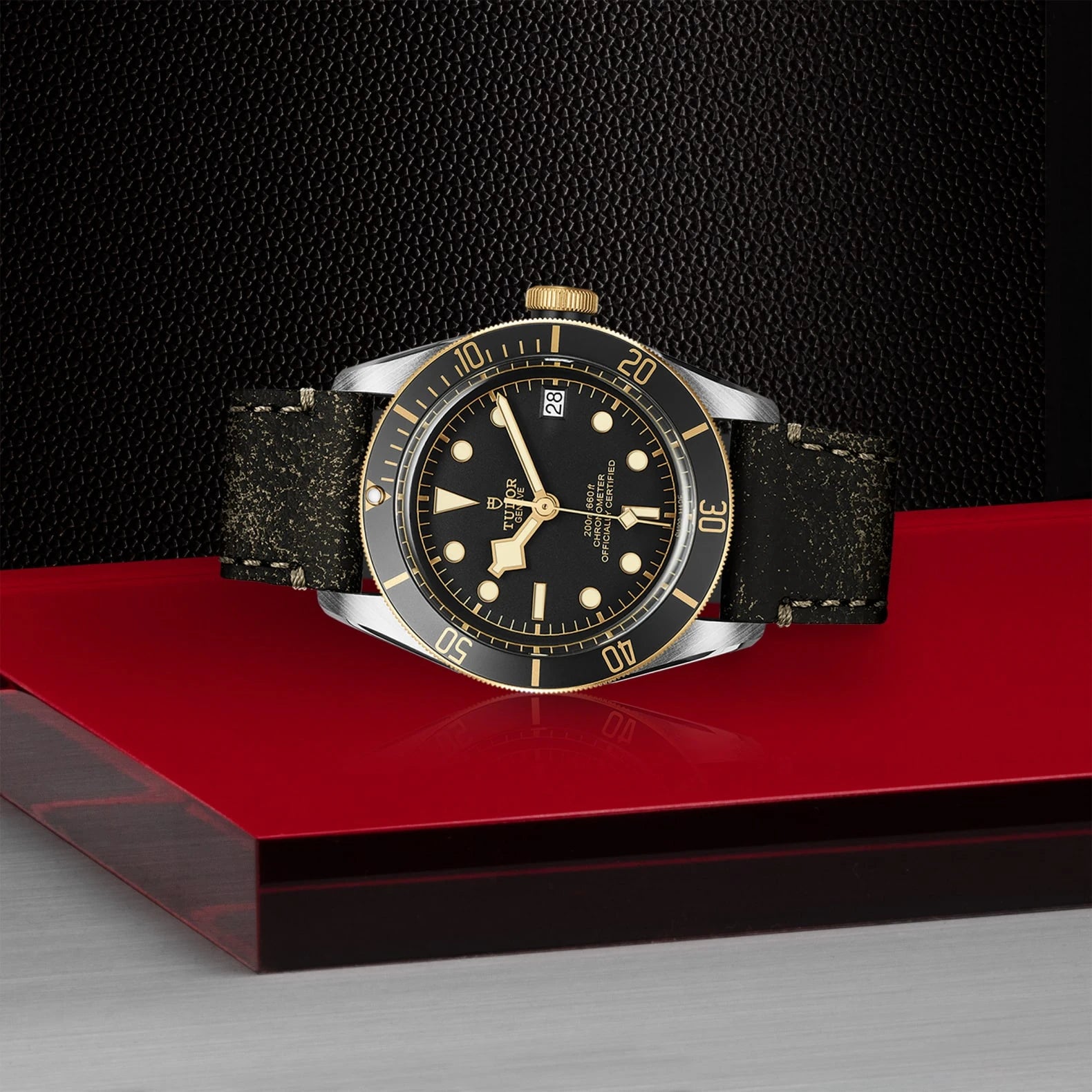 TUDOR Black Bay S&amp;G 41mm Black Dial - M79733N-0007 On Display - Skeie's Jewelers