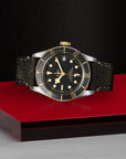 TUDOR Black Bay S&G 41mm Black Dial - M79733N-0007 On Display - Skeie's Jewelers
