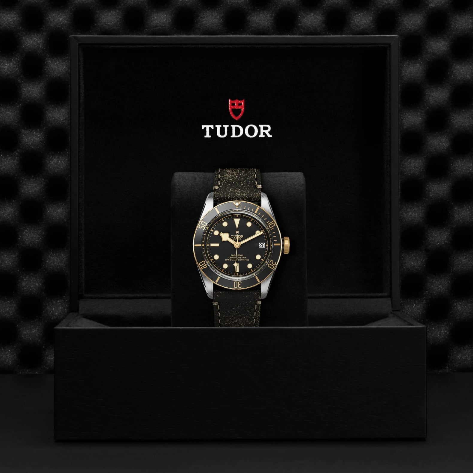 TUDOR Black Bay S&amp;G 41mm Black Dial - M79733N-0007 In Box - Skeie's Jewelers